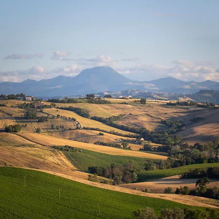 Tenuta San Marcello *