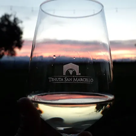 Vakantieboerderij Tenuta *