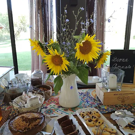 Tenuta * San Marcello (Ancona)