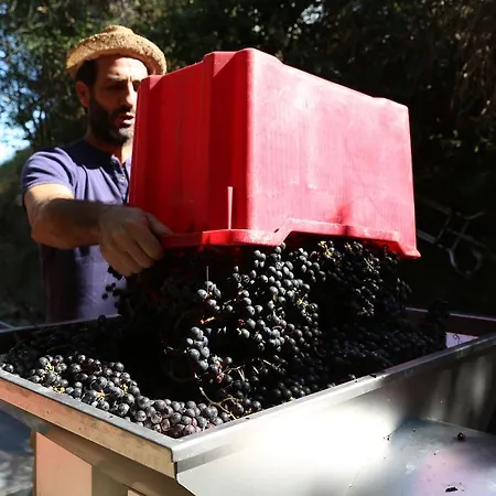 Tenuta San Marcello Alloggio per agriturismo